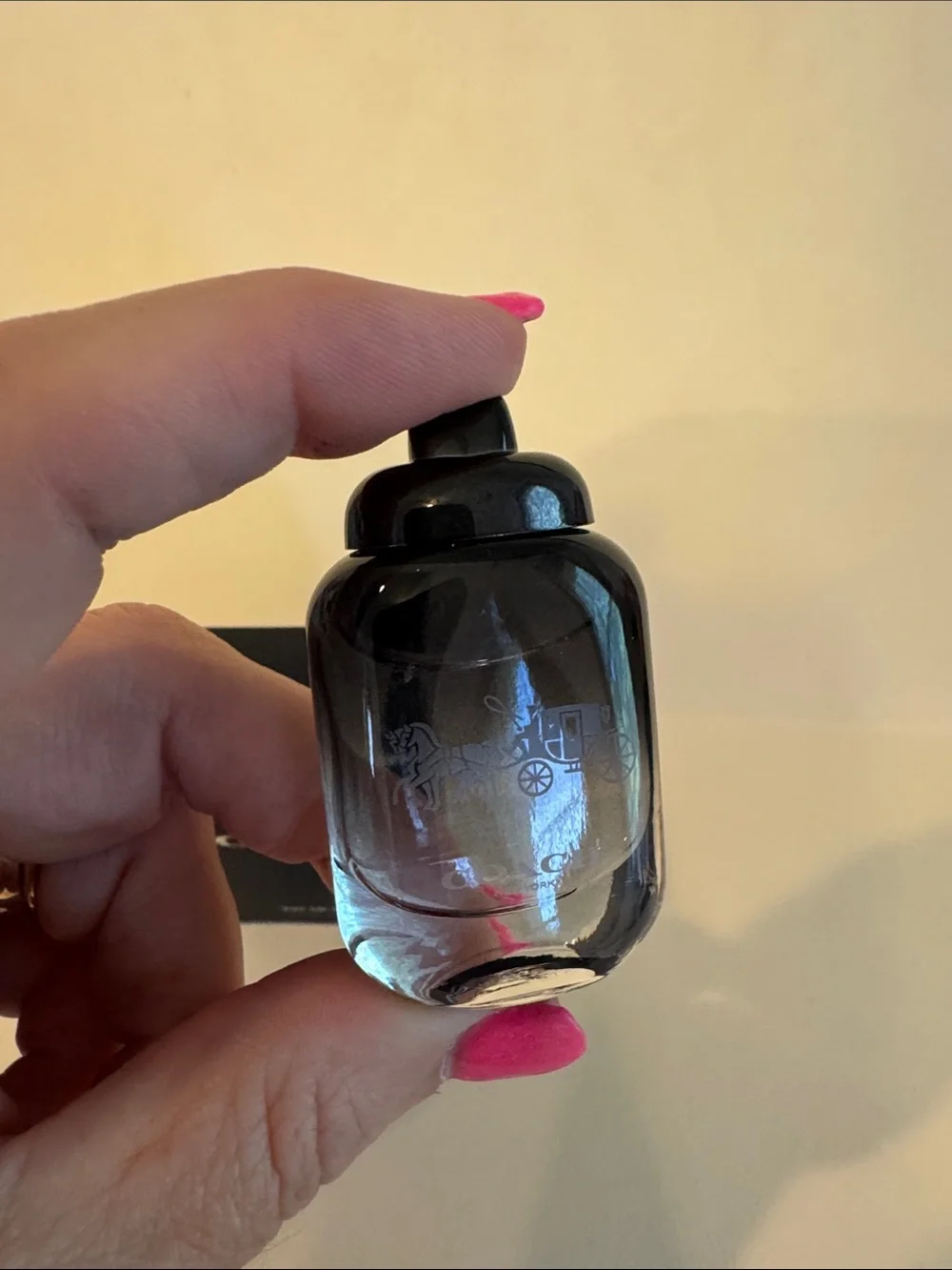 COACH Mini Travel Size 0.15oz NIB